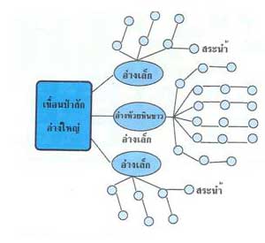คำอธิบาย: http://www.chaipat.or.th/chaipat/content/porpeing/p2.jpg