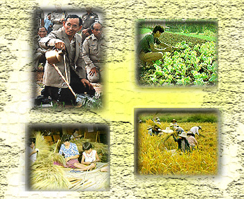 ͸Ժ: http://www.bloggang.com/data/ib-economic6191/picture/1188202939.jpg